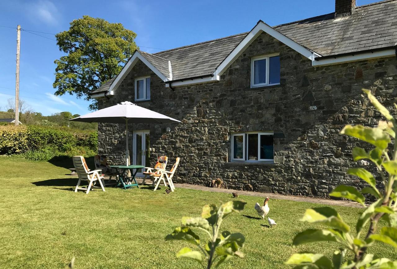 Maesyfelin Isaf B&B Llanybyther Exterior foto